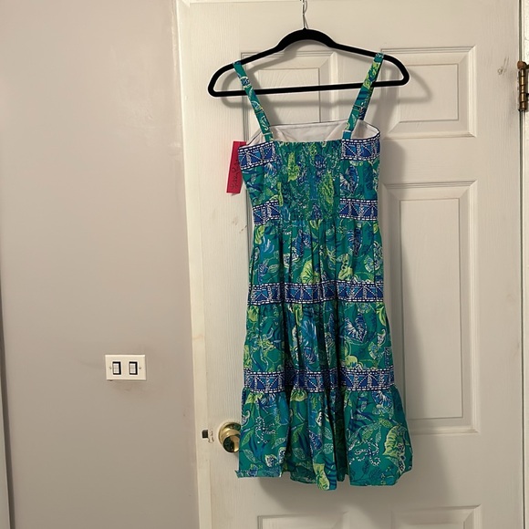 Super cute Lilly Pulitzer Casidee Cotton Dress Botanical Green in A Flutter - Picture 3 of 4